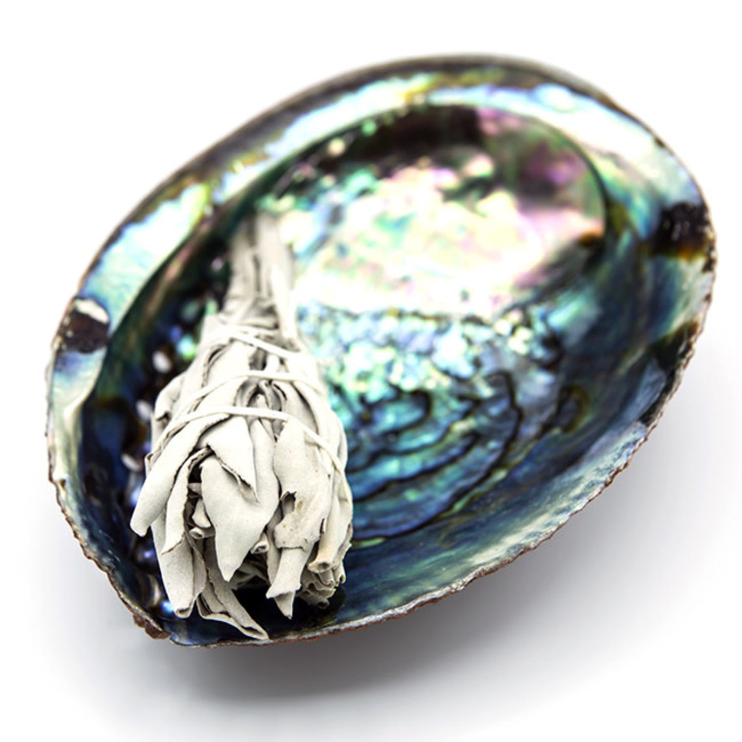 The Significance of Abalone Shell